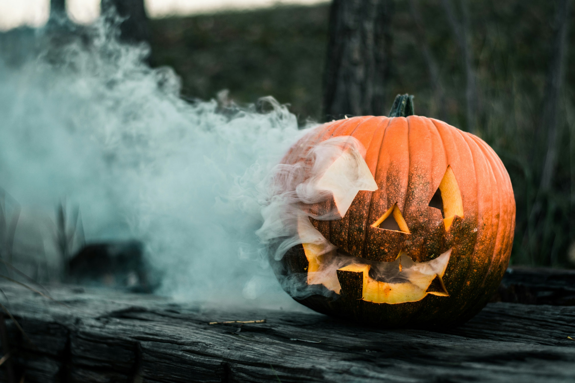 Photo de Halloween 2026 à Bordeaux et dans le Sud-Ouest : mes meilleures sorties à Bordeaux & Sud-Ouest