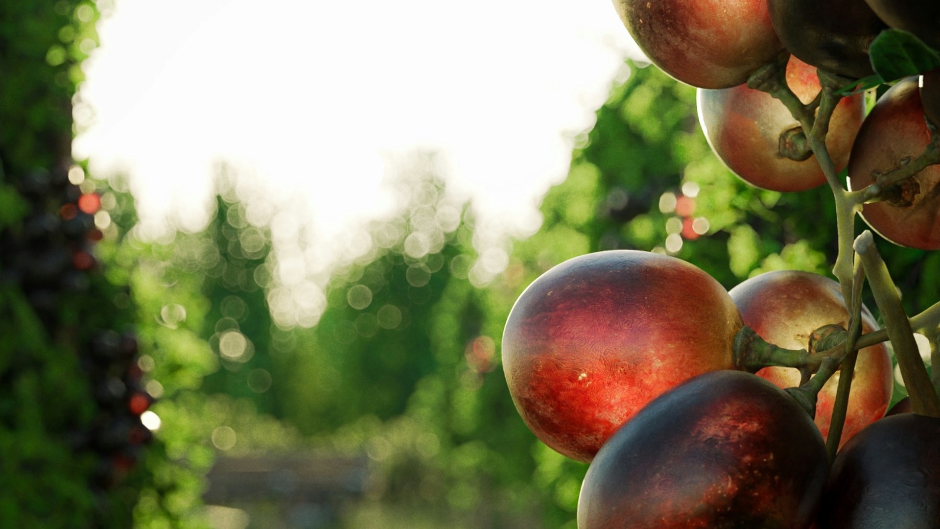 Que faire dans le Médoc ? Mes 15 incontournables