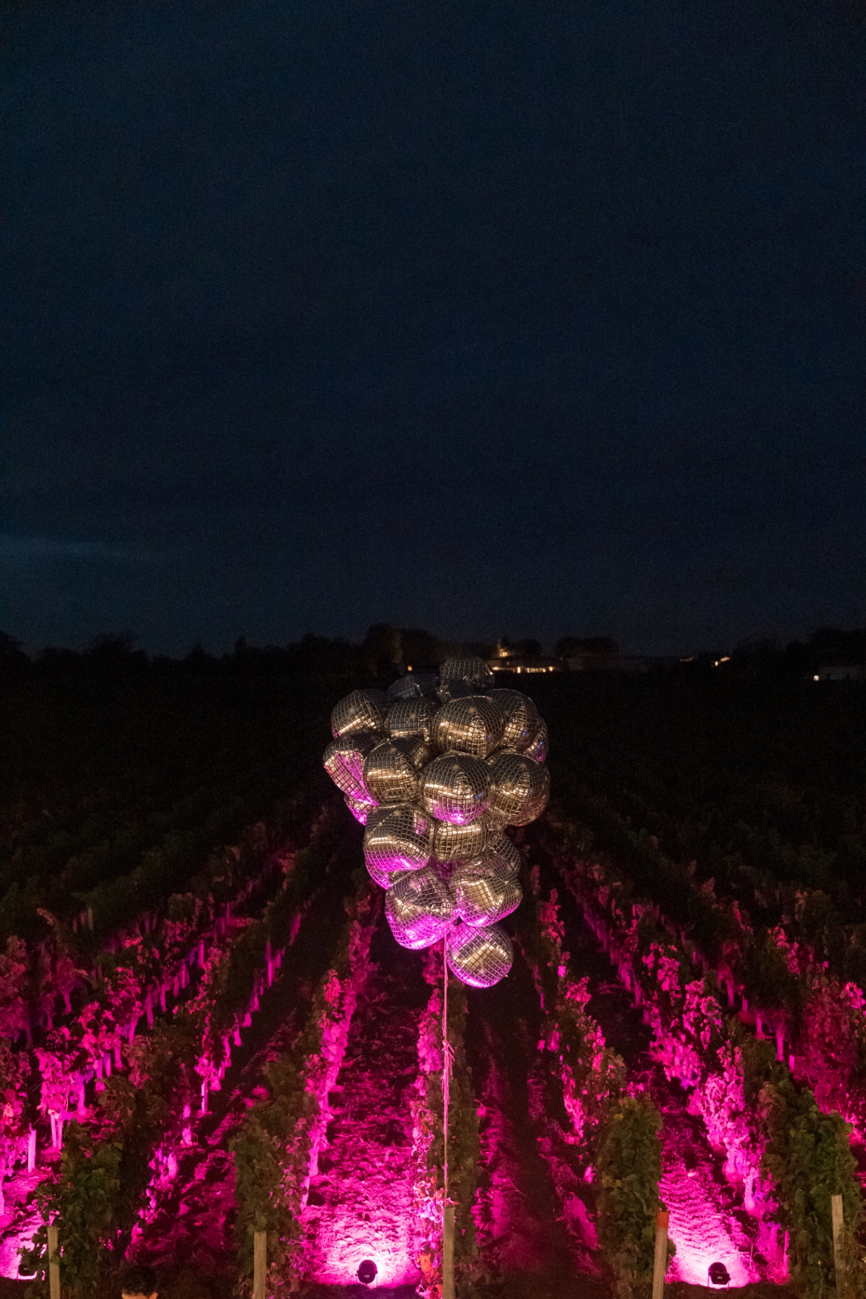 Vendanges Nocturnes 2026 : le festival dans les vignes de Saint-Émilion — illustration 2