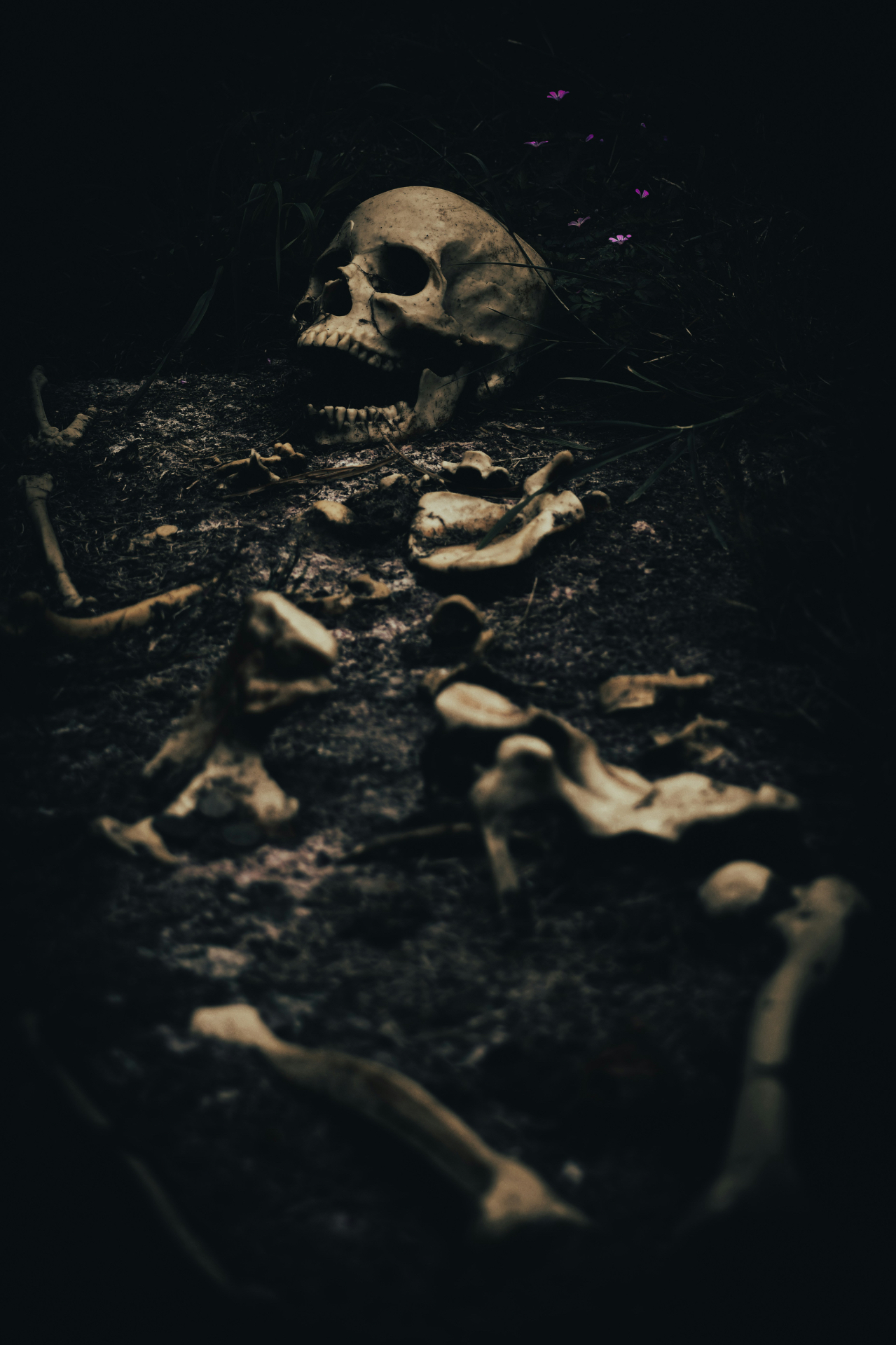 Halloween 2026 sur le Bassin d’Arcachon : où sortir avec les enfants ?