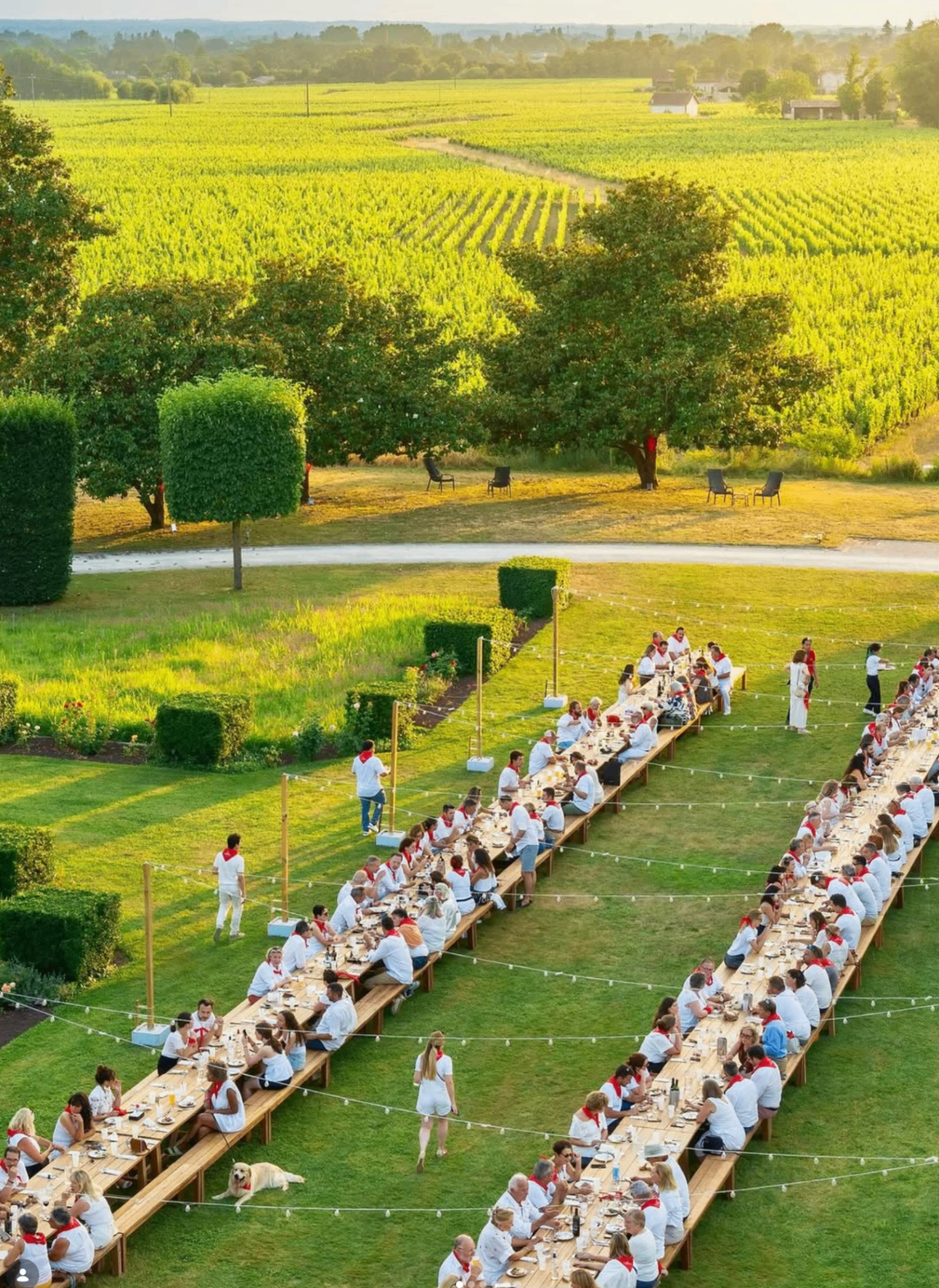 Banquet du Sud-Ouest au Château Grand Barrail à Saint-Émilion — ÉVÉNEMENT - VIN à Saint-Émilion