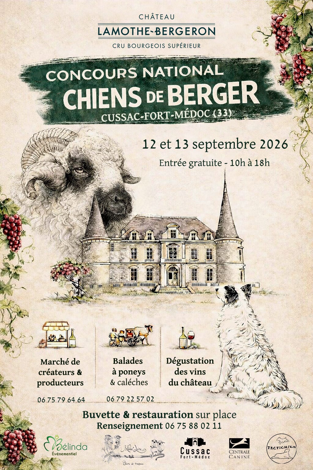 Concours national de chiens de berger au Château Lamothe-Bergeron : le week-end à ne pas manquer