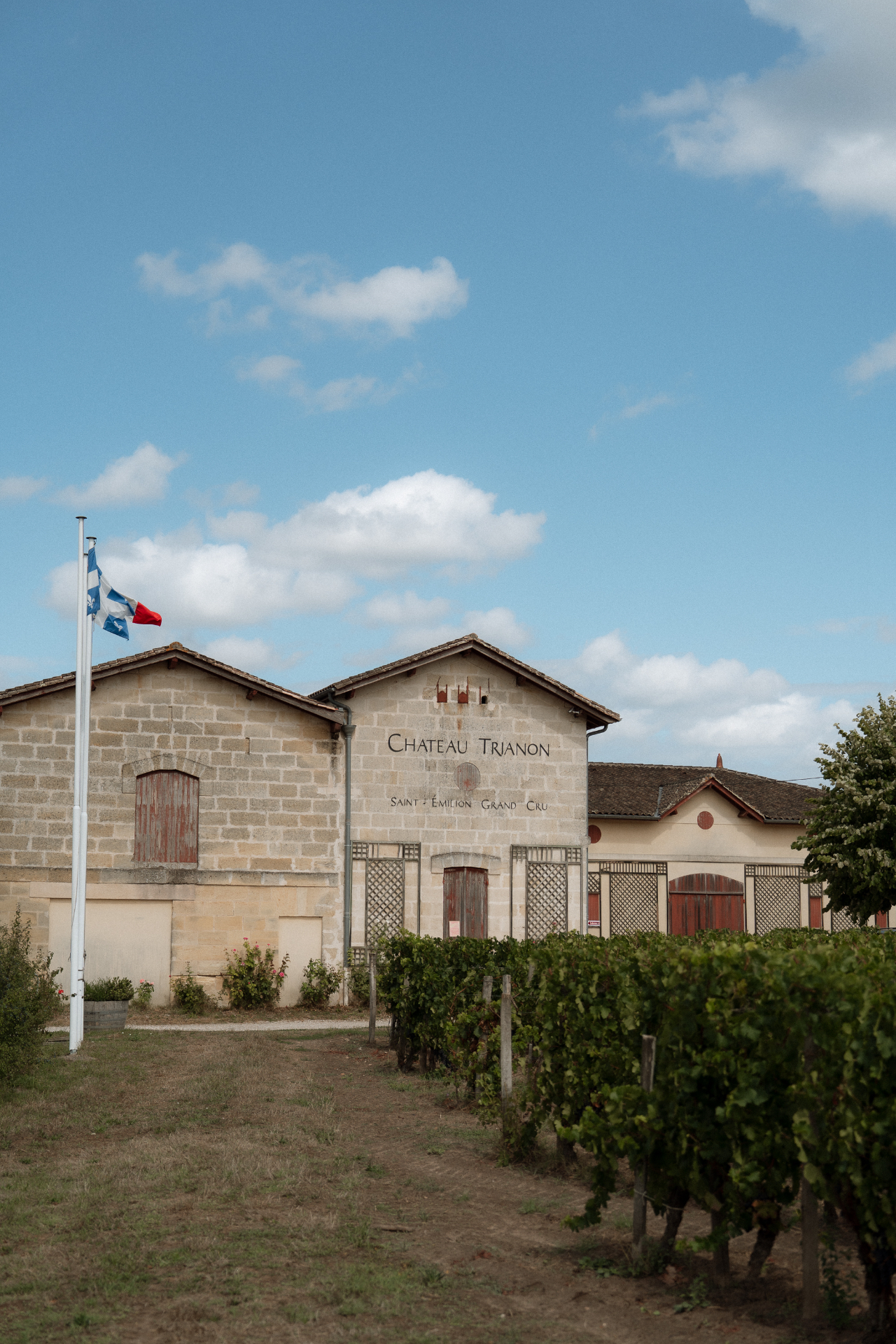 Vendanges Nocturnes 2026 : le festival dans les vignes de Saint-Émilion — illustration 1
