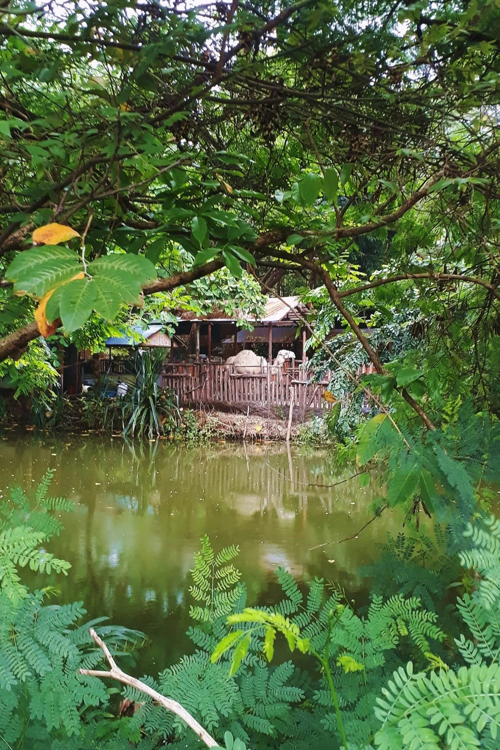 Paysage végétal près d’un enclos, photo d’illustration fournie par Christian