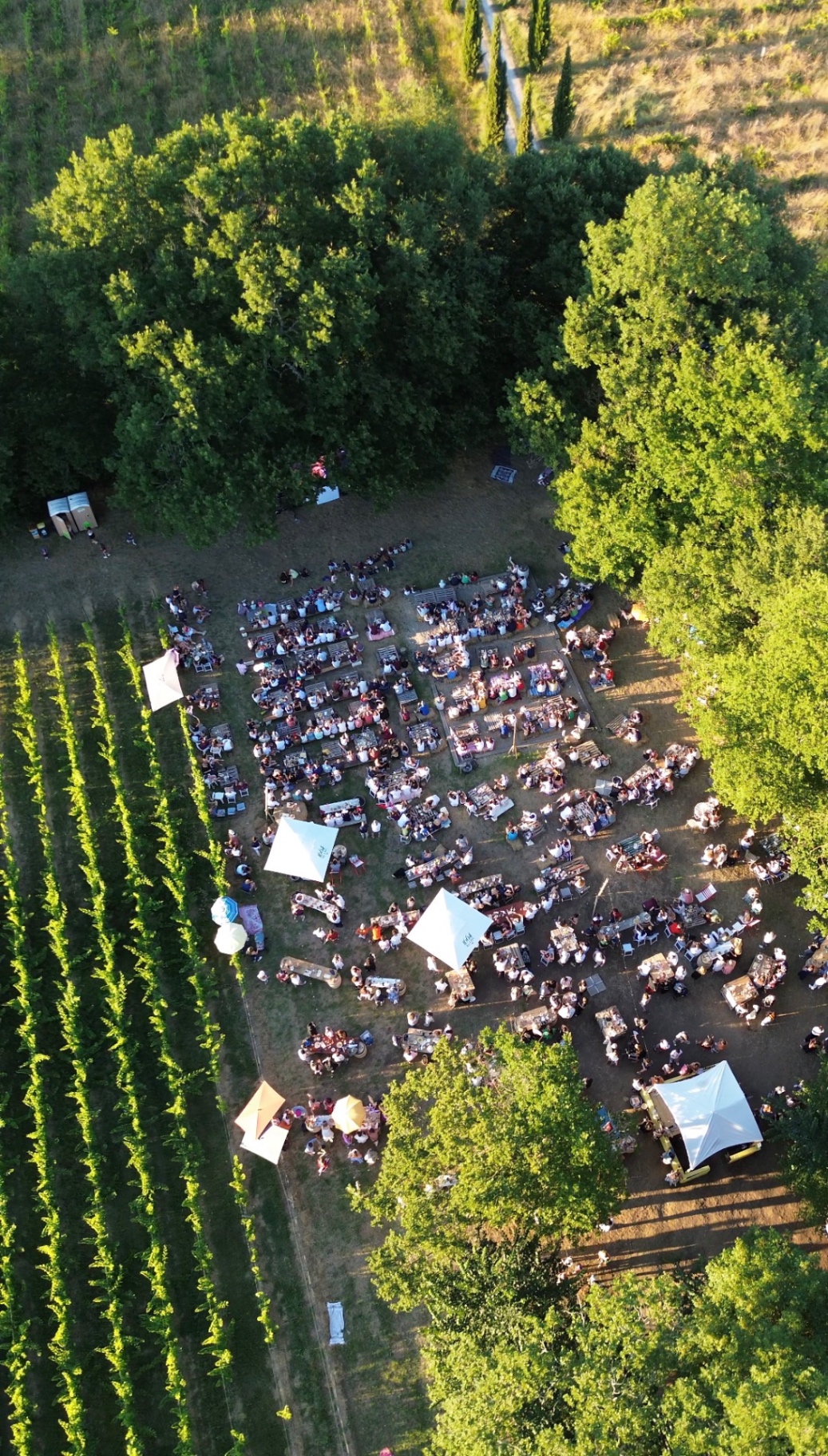 Dionysa Festival 2026 : le festival de la fin des vendanges dans les vignes à Bordeaux — illustration 1