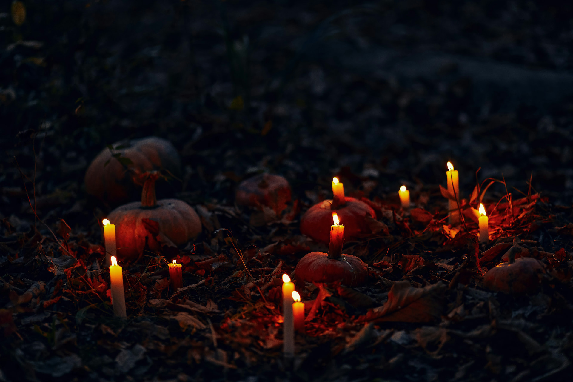 Photo de Halloween 2026 à Bordeaux et dans le Sud-Ouest : mes meilleures sorties à Bordeaux & Sud-Ouest
