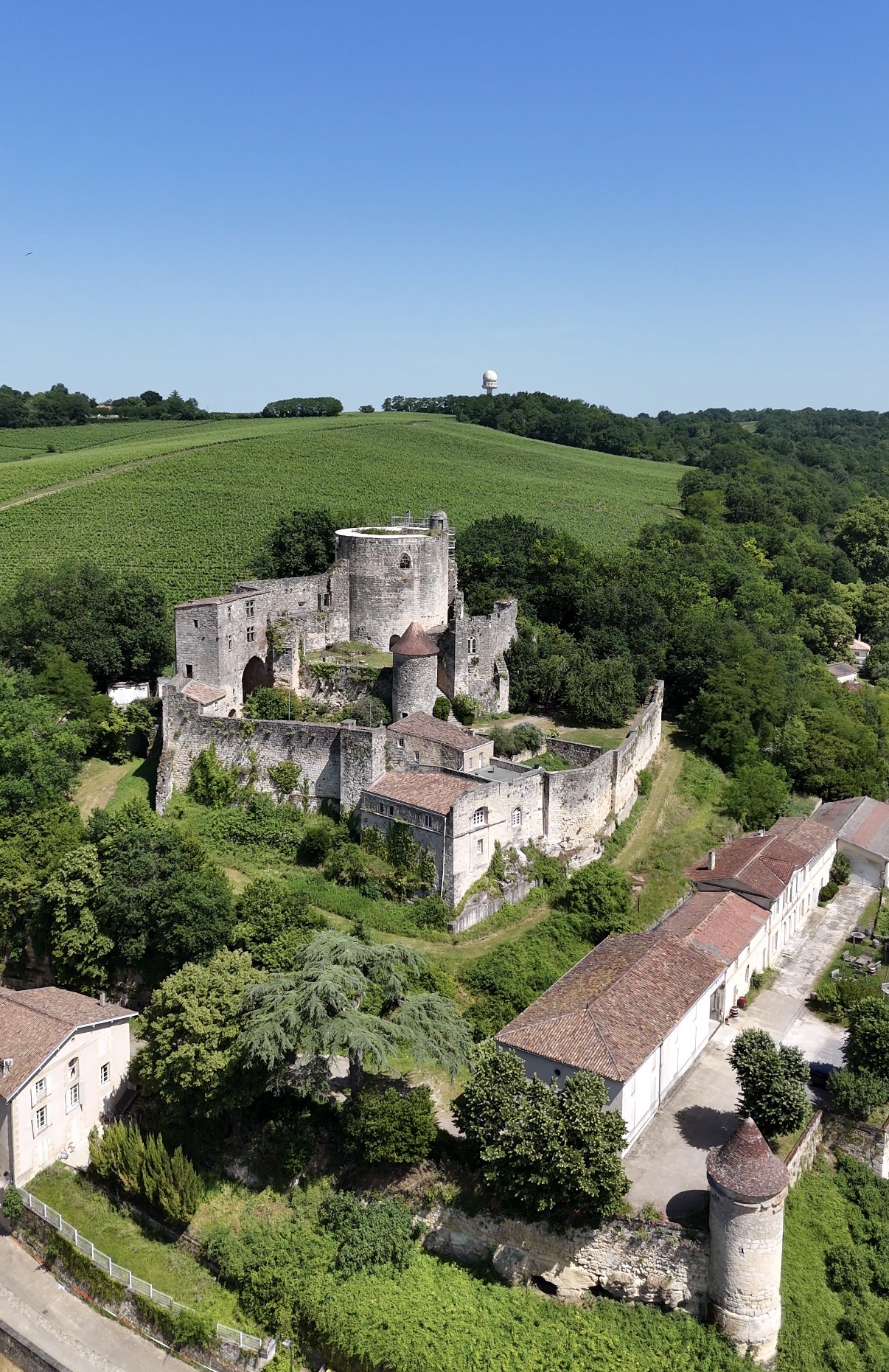 Portes Ouvertes de la région des premières Côtes de Bordeaux 2026 : à la rencontre des vignerons — ÉVÉNEMENT - VIN à Cadillac